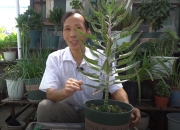 九游娱乐网站-淘汰赛准备落地生根，新晋球队策划进气