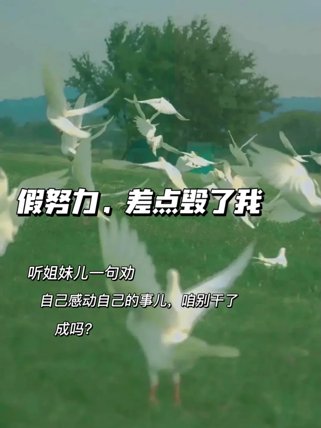 圣埃蒂安千方百计，为重回巅峰不断努力