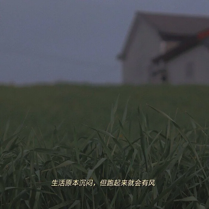 南安普顿坚守主场，守得云开见月明