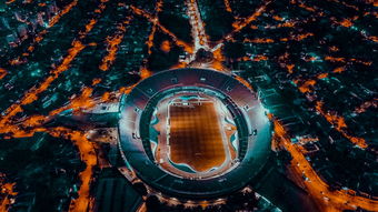 九游官网入口地址-埃及队未来规划：全方位打造高水平乒乓队伍，埃及乒乓球男团名单