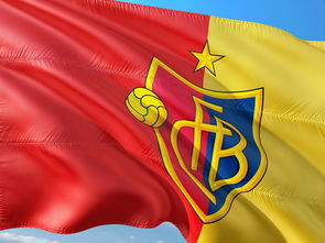 九游体育官网-女排超级联赛强强对决比赛火爆，女排超级联赛最新战报  第2张